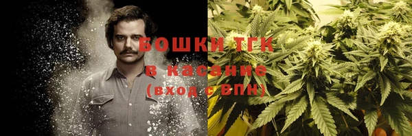 трава Заволжье