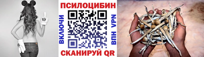 Купить где  Данилов  Псилоцибиновые грибы прущие грибы 